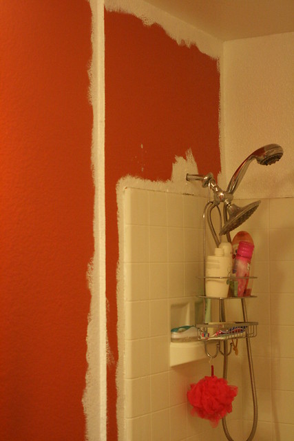 bathroom paint
