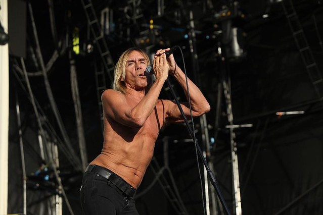 Iggy Pop and the Stooges (3)