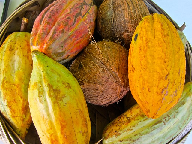 Basket of love: Cocoa Pods and Coconut
