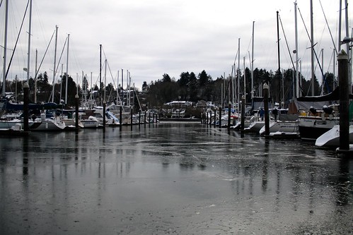 Docks and Ice
