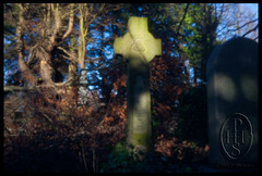 Pinhole pictures of Warriston Cemetery Edinburgh Scotland (107)