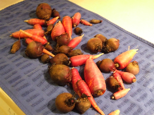 Beets & dragon carrots