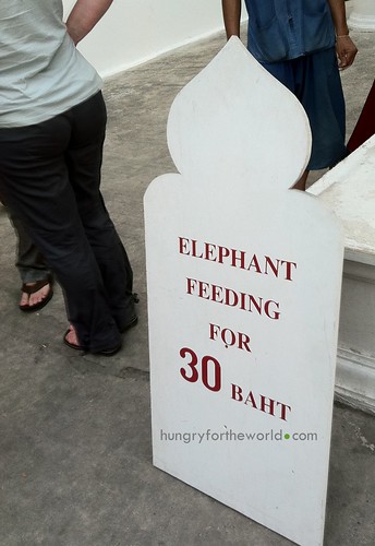 30 baht to feed the elephant