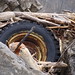wood tire