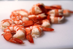 Shrimp 1
