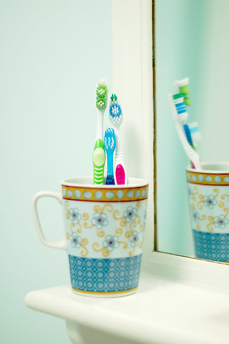 Toothbrush family portrait.