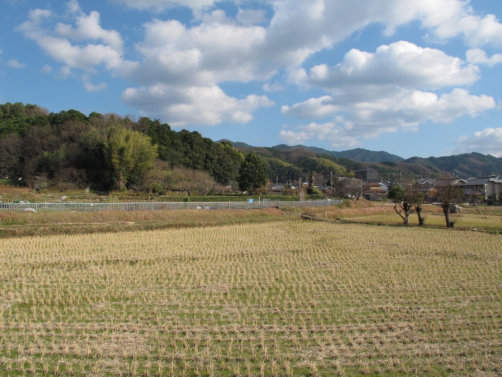 平尾山稲荷神社への道