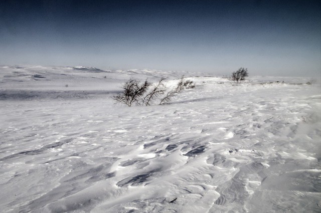 Carolin Weinkopf, Alta, snow desert