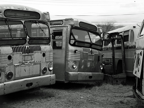 Old Buses Tucson by andrecarol