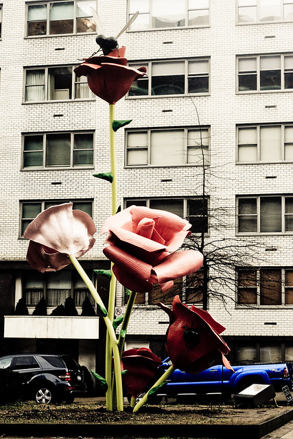 Park Ave Flowers 3 (1 of 1)