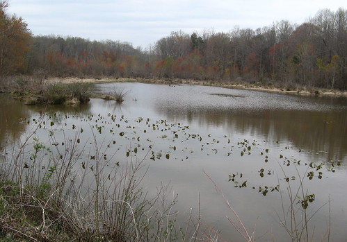 Pond along Plainfield Road