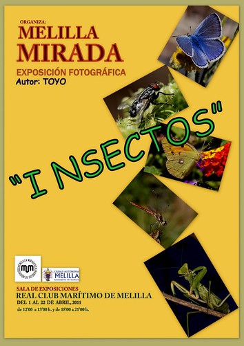 cartel def. macro insectos