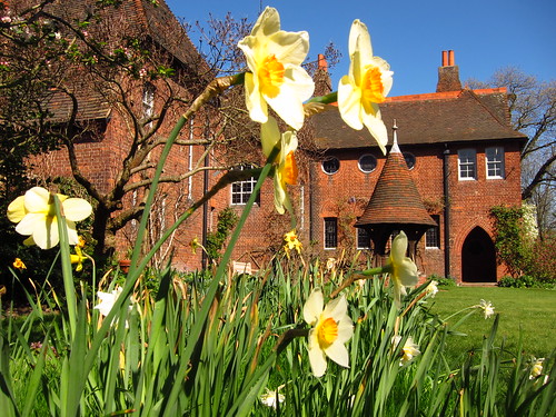Daffodils at Red House