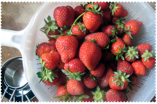 Garden Fresh Strawberries