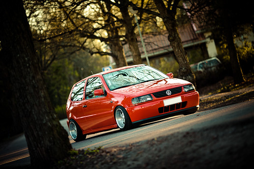 Polo 6N ''Lil' Gnther''  