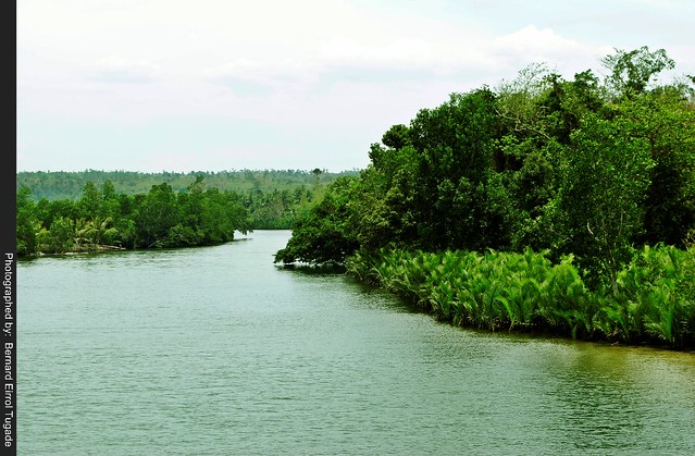 Balingasay River 18