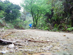 4/4/2011 Lunchtime Hilly Trail Run