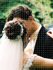 A grid of white dots is overlaid onto the photo.