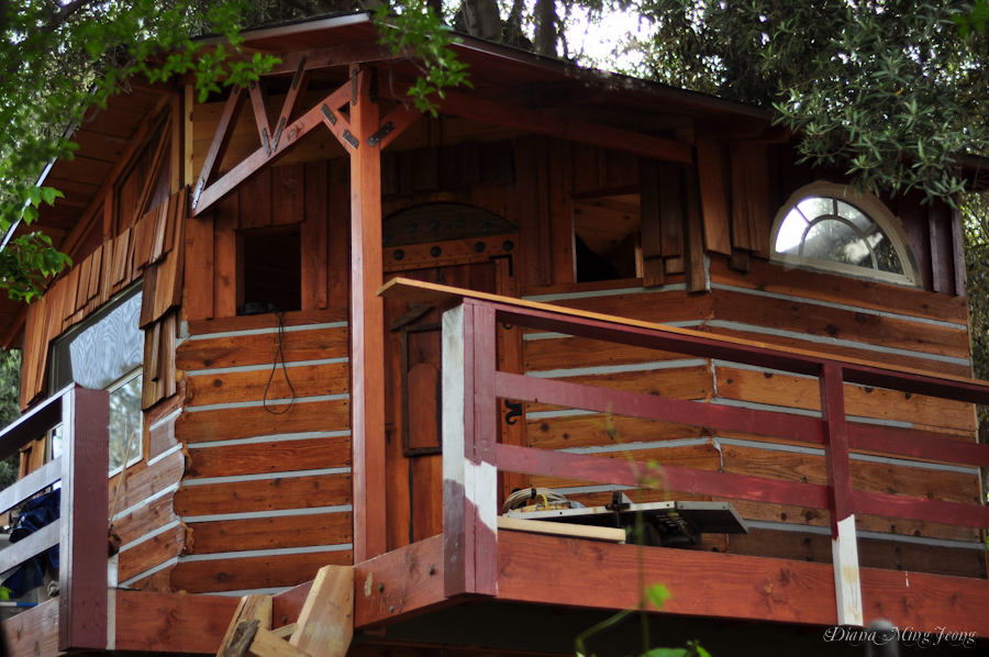 A Treehouse Grows in Sunland