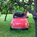Fiat in the Colli Tortonesi