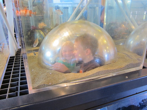 Fish tank Ruby and Ezra