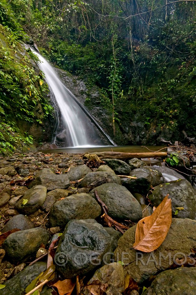 Ilocos Norte - Cabacan Falls and Leaf II