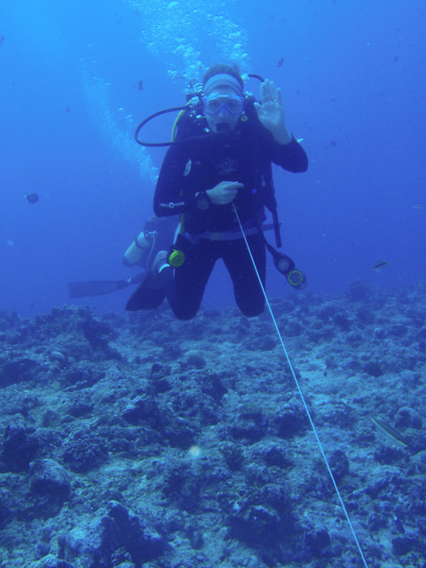 Palau, Diving on the Tropic Dancer