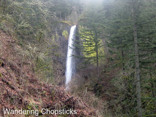8 Latourell Falls (Winter) - Columbia River Gorge - Oregon 1