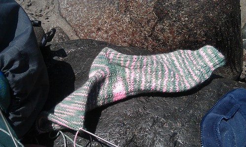 June sock in Kynance Cove