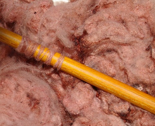 Blossoms and bark corriedale pecan shell dyeing on magic wand spindle