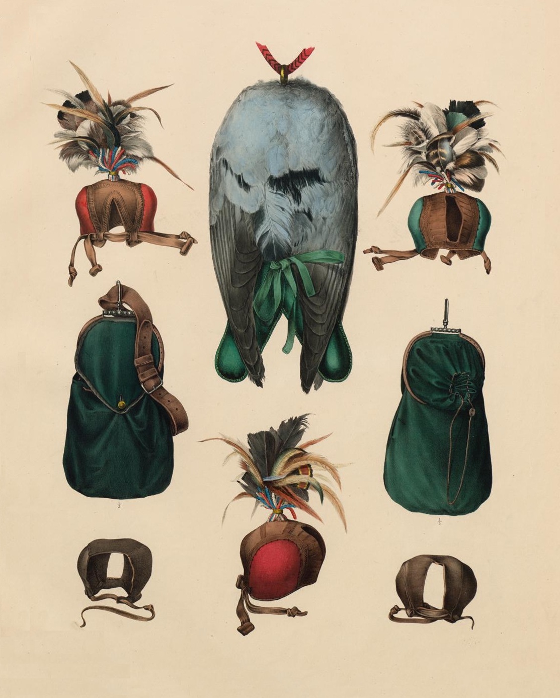 Falcon hoodwear in 'Traité de Fauconnerie' by H Schlegel, 1853