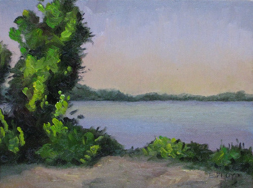 20110602 Potomac River Series III