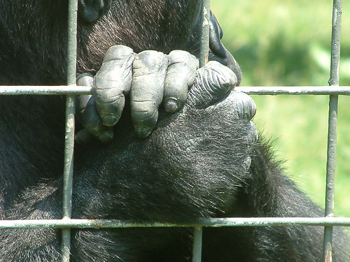 Hands of love. by Sunshine Gorilla