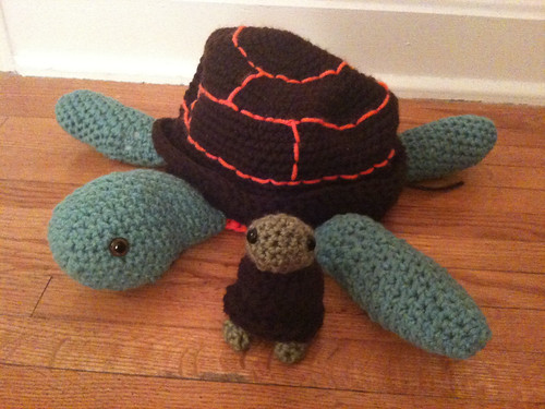 Sea turtle progress