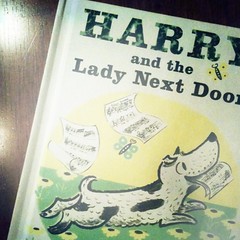 harry book