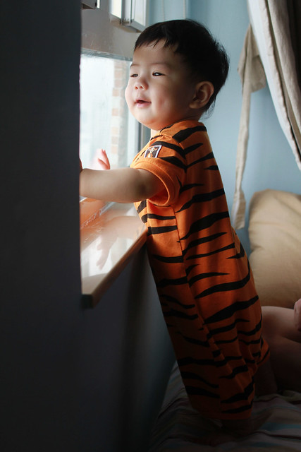 Baby Marcus Staring Outside the Window