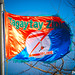 Tagaytay Zipline Flag