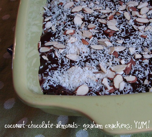 coco-nutty rocky road bars