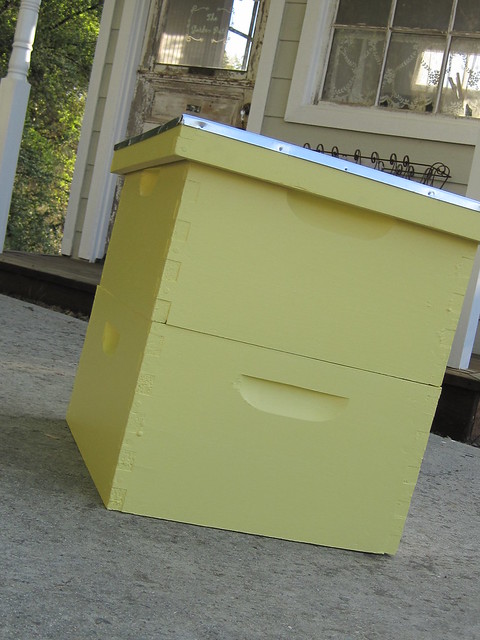 Yellow bee boxes