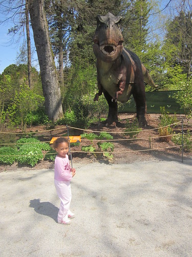 05-01-11 - Dinosaurs at the zoo