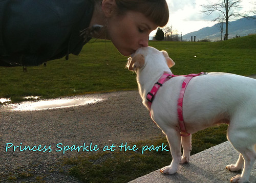 Princess Sparkle at the park