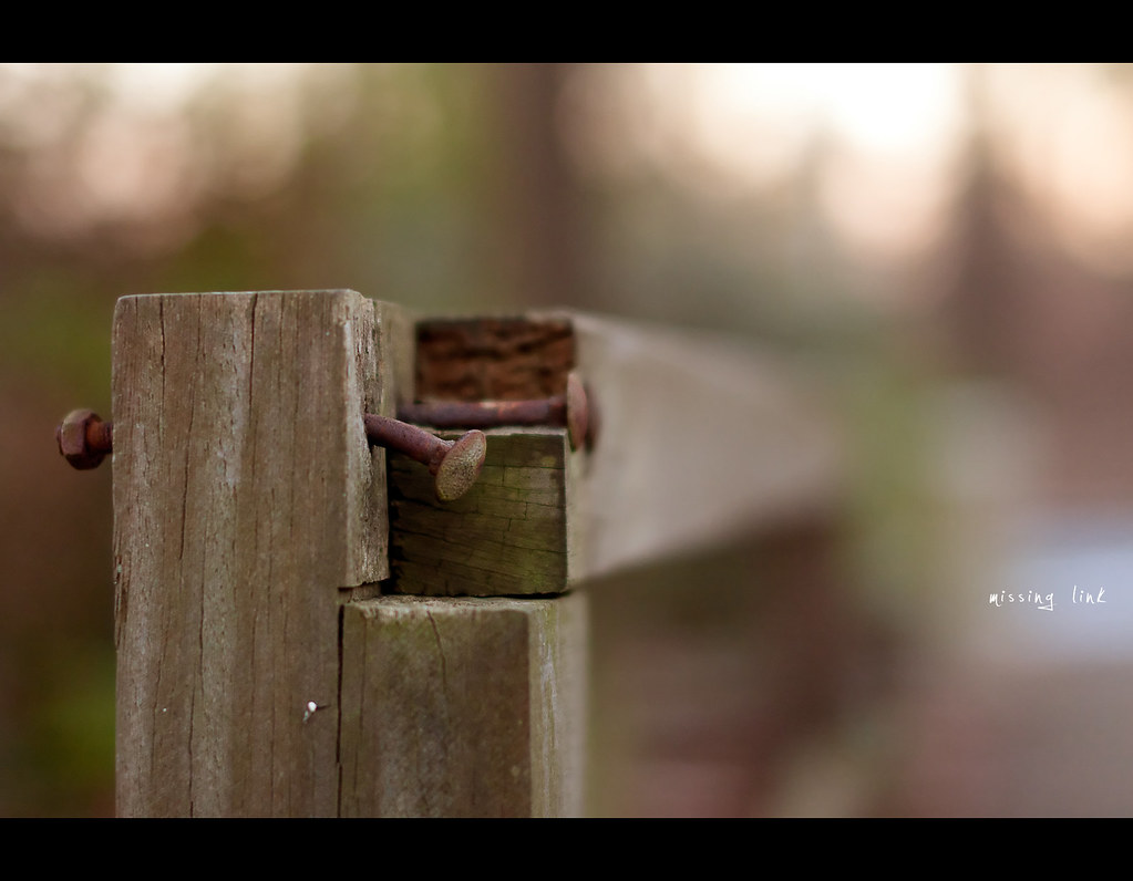 project 365, Day 246, 246/365, Bokeh, Happy Fence Friday, Missing link, fence, broken, nails, nail, Sigma 50mm F1.4 EX DG HSM, 50mm, 50 mm, 
