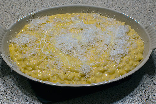 Macaroni and Cheese dusted with Parmesan cheese and ready for oven