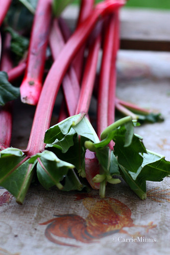 Oh, the lowly rhubarb...