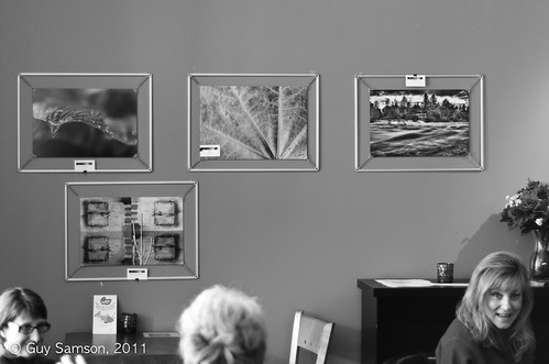 Tableaux d'une exposition / Pictures of an exhibition by guysamsonphoto