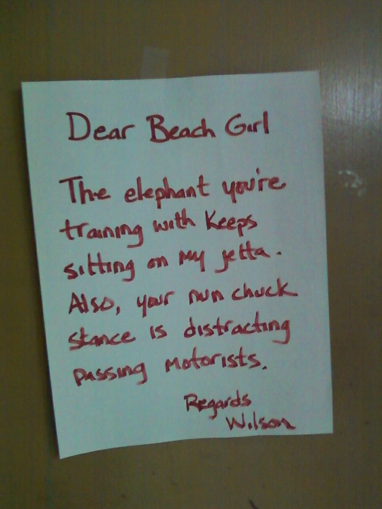 Dear Beach Girl, The elephant you're training keeps sitting on my Jetta. Also, your nunchuck stance is distracting passing motorists. Regards, Wilson