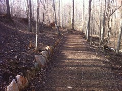  Rock Wall Trail 