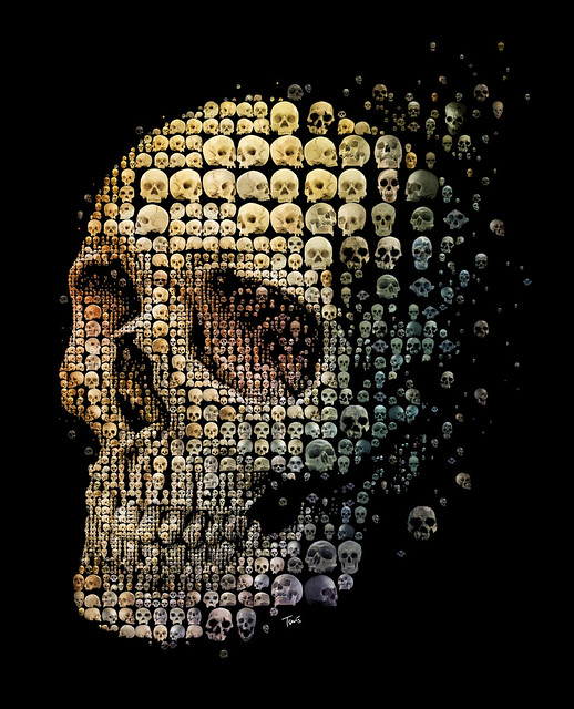 Skull evolution (for Discover magazine)