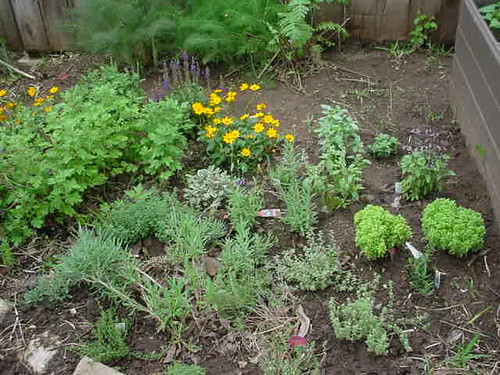 herb garden