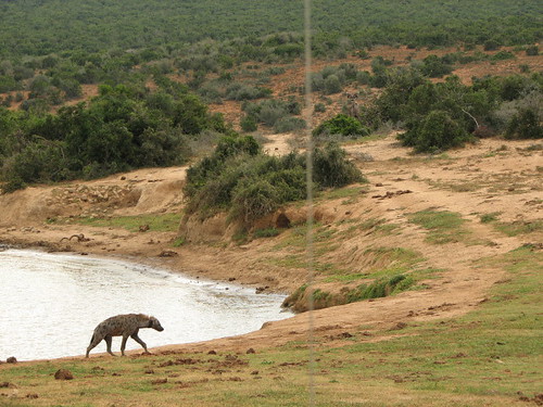 NMMU, RU Excursion, Addo Elephant Park